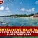 AMBIENTALISTAS BAJO ALERTA POR PROYECTO COMERCIAL EN TERRENOS DE PLAYA TORTUGAS.