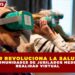 RENDEVER REVOLUCIONA LA SALUD MENTAL EN COMUNIDADES DE JUBILADOS MEDIANTE REALIDAD VIRTUAL: ADULTOS MAYORES COMBATEN EL AISLAMIENTO CON VIAJES INMERSIVOS