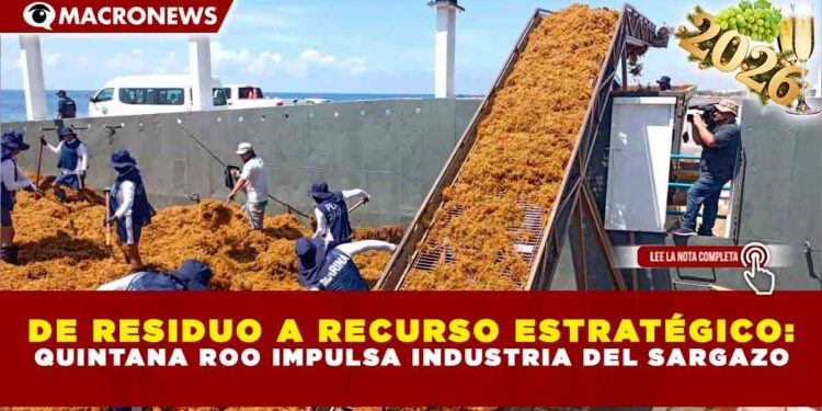 DE RESIDUO A RECURSO ESTRATÉGICO: QUINTANA ROO IMPULSA INDUSTRIA DEL SARGAZO