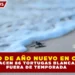 MILAGRO DE AÑO NUEVO EN COZUMEL: NACEN 86 TORTUGAS BLANCAS FUERA DE TEMPORADA