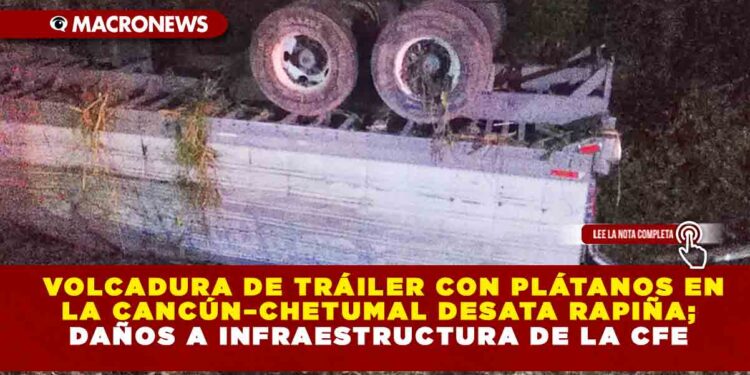VOLCADURA DE TRÁILER CON PLÁTANOS EN LA CANCÚN–CHETUMAL DESATA RAPIÑA; DAÑOS A INFRAESTRUCTURA DE LA CFE