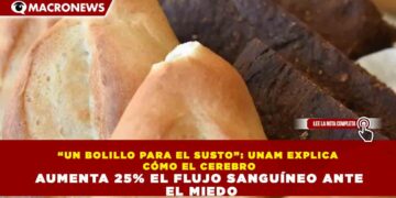 “UN BOLILLO PARA EL SUSTO”: UNAM EXPLICA CÓMO EL CEREBRO AUMENTA 25% EL FLUJO SANGUÍNEO ANTE EL MIEDO