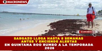SARGAZO LLEGA HASTA 8 SEMANAS  ANTES Y ENCIENDE ALERTAS EN QUINTANA ROO RUMBO A LA TEMPORADA  2026