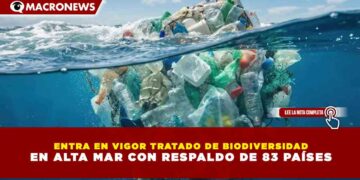 ENTRA EN VIGOR TRATADO DE BIODIVERSIDAD EN ALTA MAR CON RESPALDO DE 83 PAÍSES