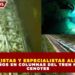 ACTIVISTAS Y ESPECIALISTAS ALERTAN POR DAÑOS EN COLUMNAS DEL TREN MAYA EN CENOTES
