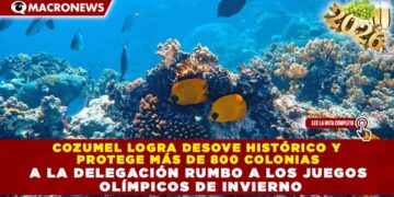 COZUMEL LOGRA DESOVE HISTÓRICO Y PROTEGE MÁS DE 800 COLONIAS DE CORAL EN ESTRATEGIA CLAVE DE RESTAURACIÓN MARINA