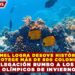 COZUMEL LOGRA DESOVE HISTÓRICO Y PROTEGE MÁS DE 800 COLONIAS DE CORAL EN ESTRATEGIA CLAVE DE RESTAURACIÓN MARINA