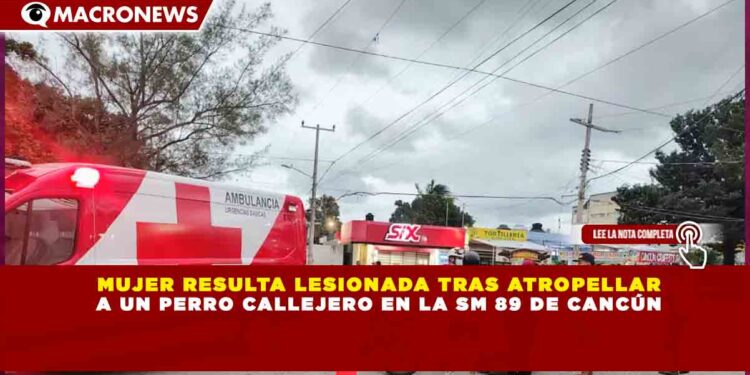 MUJER RESULTA LESIONADA TRAS ATROPELLAR A UN PERRO CALLEJERO EN LA SM 89 DE CANCÚN