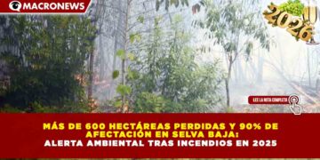 MÁS DE 600 HECTÁREAS PERDIDAS Y 90% DE AFECTACIÓN EN SELVA BAJA: ALERTA AMBIENTAL TRAS INCENDIOS EN 2025