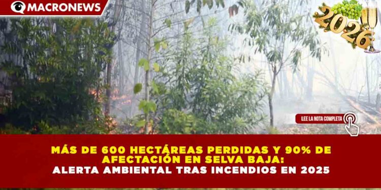MÁS DE 600 HECTÁREAS PERDIDAS Y 90% DE AFECTACIÓN EN SELVA BAJA: ALERTA AMBIENTAL TRAS INCENDIOS EN 2025
