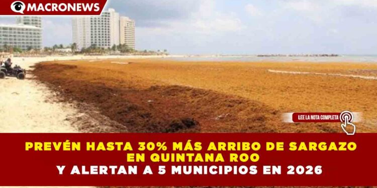 PREVÉN HASTA 30% MÁS ARRIBO DE SARGAZO EN QUINTANA ROO Y ALERTAN A 5 MUNICIPIOS EN 2026