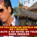 ROBERTO PALAZUELOS REVELA DETALLES  DE 1 INTENTO  DE ASALTO A SU HOTEL EN TULUM, NO  HUBO HERIDOS