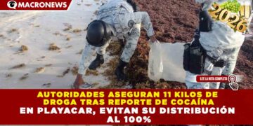 AUTORIDADES ASEGURAN 11 KILOS DE DROGA TRAS REPORTE DE COCAÍNA EN PLAYACAR, EVITAN SU DISTRIBUCIÓN AL 100%