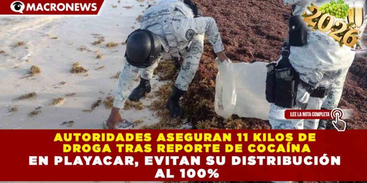 AUTORIDADES ASEGURAN 11 KILOS DE DROGA TRAS REPORTE DE COCAÍNA EN PLAYACAR, EVITAN SU DISTRIBUCIÓN AL 100%