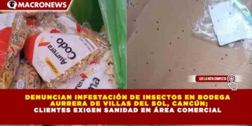 DENUNCIAN INFESTACIÓN DE INSECTOS EN BODEGA  AURRERA DE VILLAS DEL SOL, CANCÚN; CLIENTES EXIGEN SANIDAD EN ÁREA COMERCIAL