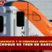 MUERE MAQUINISTA Y 15 PERSONAS RESULTAN HERIDAS TRAS CHOQUE DE TREN EN BARCELONA