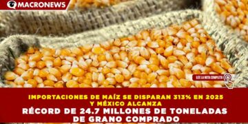 IMPORTACIONES DE MAÍZ SE DISPARAN 313% EN 2025 Y MÉXICO ALCANZA RÉCORD DE 24.7 MILLONES DE TONELADAS DE GRANO COMPRADO