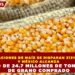 IMPORTACIONES DE MAÍZ SE DISPARAN 313% EN 2025 Y MÉXICO ALCANZA RÉCORD DE 24.7 MILLONES DE TONELADAS DE GRANO COMPRADO