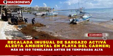 RECALADA INUSUAL DE SARGAZO ACTIVA  ALERTA AMBIENTAL EN PLAYA DEL CARMEN; MÁS DE 100 TONELADAS ANTES DE TEMPORADA ALTA
