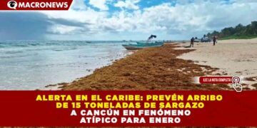 ALERTA EN EL CARIBE: PREVÉN ARRIBO DE 15 TONELADAS DE SARGAZO A CANCÚN EN FENÓMENO ATÍPICO PARA ENERO