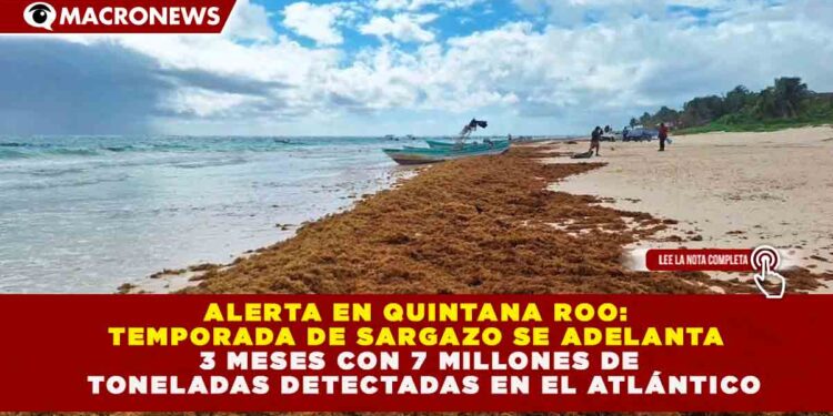 ALERTA EN QUINTANA ROO: TEMPORADA DE SARGAZO SE ADELANTA 3 MESES CON 7 MILLONES DE TONELADAS DETECTADAS EN EL ATLÁNTICO