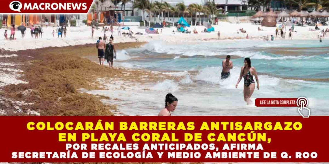 COLOCARÁN BARRERAS ANTISARGAZO EN PLAYA CORAL DE CANCÚN, POR RECALES ANTICIPADOS, AFIRMA SECRETARÍA DE ECOLOGÍA Y MEDIO AMBIENTE DE Q. ROO