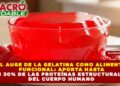 EL AUGE DE LA GELATINA COMO ALIMENTO FUNCIONAL: APORTA HASTA UN 30% DE LAS PROTEÍNAS ESTRUCTURALES DEL CUERPO HUMANO