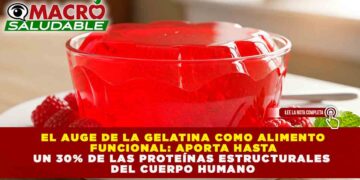 EL AUGE DE LA GELATINA COMO ALIMENTO FUNCIONAL: APORTA HASTA UN 30% DE LAS PROTEÍNAS ESTRUCTURALES DEL CUERPO HUMANO