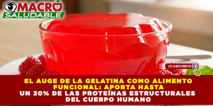 EL AUGE DE LA GELATINA COMO ALIMENTO FUNCIONAL: APORTA HASTA UN 30% DE LAS PROTEÍNAS ESTRUCTURALES DEL CUERPO HUMANO