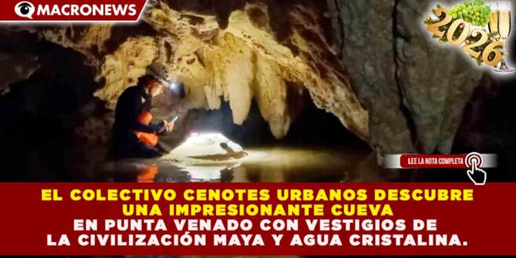 HALLAZGO ARQUEOLÓGICO EN PLAYA DEL CARMEN: CUEVA DE GRANDES DIMENSIONES Y RIESGO INMINENTE POR DEFORESTACIÓN