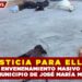 ¡JUSTICIA PARA ELLOS! REPORTAN ENVENENAMIENTO MASIVO DE PERROS EN EL MUNICIPIO DE JOSÉ MARÍA MORELOS