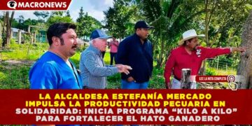 GOBIERNO DE ESTEFANÍA MERCADO IMPULSA LA PRODUCTIVIDAD PECUARIA EN SOLIDARIDAD: INICIA PROGRAMA “KILO A KILO” PARA FORTALECER EL HATO GANADERO