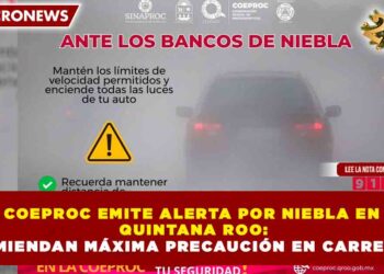 COEPROC EMITE ALERTA POR NIEBLA EN QUINTANA ROO: RECOMIENDAN MÁXIMA PRECAUCIÓN EN CARRETERAS