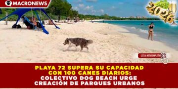 PLAYA 72 SUPERA SU CAPACIDAD CON 100 CANES DIARIOS: COLECTIVO DOG BEACH URGE CREACIÓN DE PARQUES URBANOS