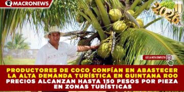 PRODUCTORES DE COCO CONFÍAN EN ABASTECER LA ALTA DEMANDA TURÍSTICA EN QUINTANA ROO; PRECIOS ALCANZAN HASTA 150 PESOS POR PIEZA EN ZONAS TURÍSTICAS