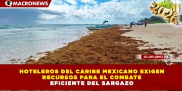 HOTELEROS DEL CARIBE MEXICANO EXIGEN RECURSOS PARA EL COMBATE EFICIENTE DEL SARGAZO