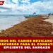 HOTELEROS DEL CARIBE MEXICANO EXIGEN RECURSOS PARA EL COMBATE EFICIENTE DEL SARGAZO