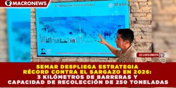 SEMAR DESPLIEGA ESTRATEGIA RÉCORD CONTRA EL SARGAZO EN 2026: 3 KILÓMETROS DE BARRERAS Y CAPACIDAD DE RECOLECCIÓN DE 250 TONELADAS