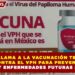 EL IMSS LLAMA A LA VACUNACIÓN TEMPRANA CONTRA EL VPH PARA PREVENIR CÁNCER Y ENFERMEDADES FUTURAS EN QUINTANA ROO