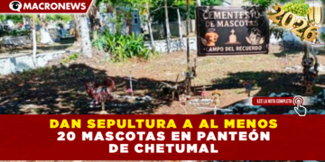 DAN TRATO DIGNO Y SEPULTURA A 20 MASCOTAS VÍCTIMAS DE MALTRATO EN PANTEÓN DE CHETUMAL