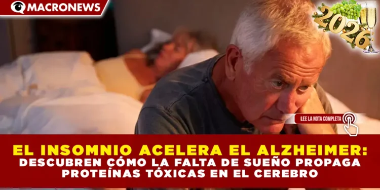 EL INSOMNIO ACELERA EL ALZHEIMER: DESCUBREN CÓMO LA FALTA DE SUEÑO PROPAGA PROTEÍNAS TÓXICAS EN EL CEREBRO