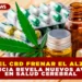¿PUEDE EL CBD FRENAR EL ALZHEIMER? LA CIENCIA REVELA NUEVOS AVANCES EN SALUD CEREBRAL.