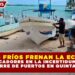 FRENTES FRÍOS FRENAN LA ECONOMÍA: PESCADORES EN LA INCERTIDUMBRE POR CIERRE DE PUERTOS EN QUINTANA ROO