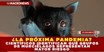 ¿LA PRÓXIMA PANDEMIA? CIENTÍFICOS IDENTIFICAN QUÉ GRUPOS DE MURCIÉLAGOS REPRESENTAN MAYOR RIESGO