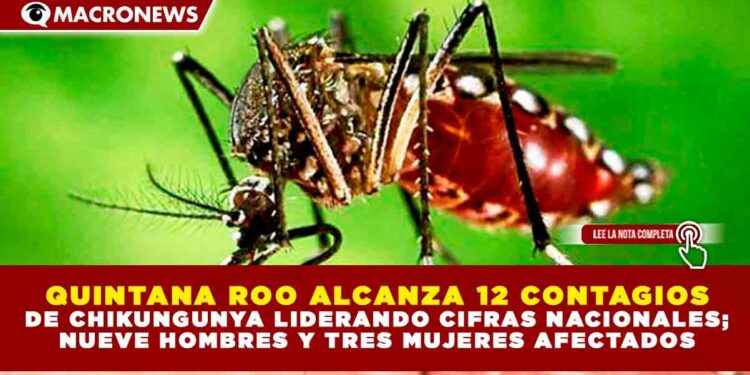 QUINTANA ROO ALCANZA 12 CONTAGIOS DE CHIKUNGUNYA Y LIDERA CIFRAS NACIONALES; NUEVE HOMBRES Y TRES MUJERES AFECTADOS