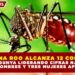 QUINTANA ROO ALCANZA 12 CONTAGIOS DE CHIKUNGUNYA Y LIDERA CIFRAS NACIONALES; NUEVE HOMBRES Y TRES MUJERES AFECTADOS