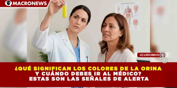 ANÁLISIS DEL UROCROMO: EL 100% DE LA HIDRATACIÓN SE REFLEJA EN EL COLOR DE LA ORINA Y ALERTA SOBRE POSIBLES FALLOS RENALES