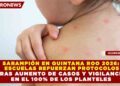 SARAMPIÓN EN QUINTANA ROO 2026: ESCUELAS REFUERZAN PROTOCOLOS TRAS AUMENTO DE CASOS Y VIGILANCIA EN EL 100% DE LOS PLANTELES