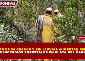 MÁS DE 34 GRADOS Y SIN LLUVIAS AUMENTAN RIESGO DE INCENDIOS FORESTALES EN PLAYA DEL CARMEN