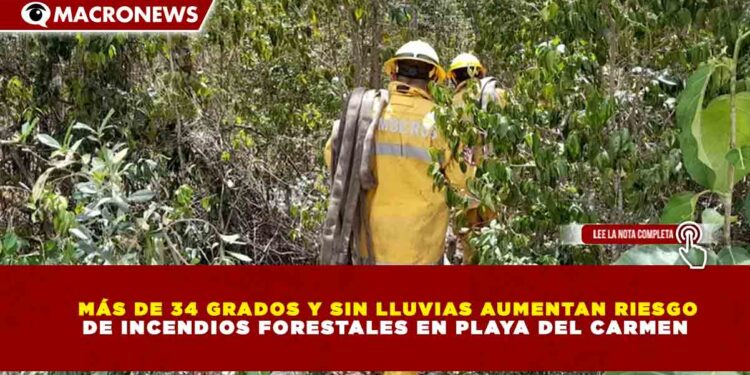 MÁS DE 34 GRADOS Y SIN LLUVIAS AUMENTAN RIESGO DE INCENDIOS FORESTALES EN PLAYA DEL CARMEN